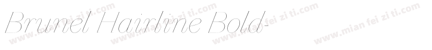 Brunel Hairline Bold字体转换
